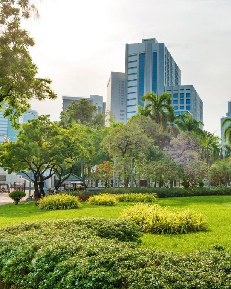 Pelouse et palmiers d’un parc de Bangkok, les tours en arrière-plan